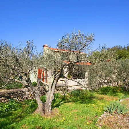 Chalet Green Dream House