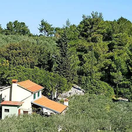 Green Dream House *