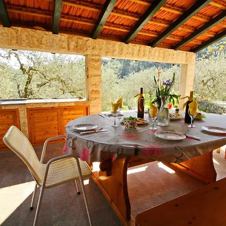 Chalet Green Dream House Vela Luka