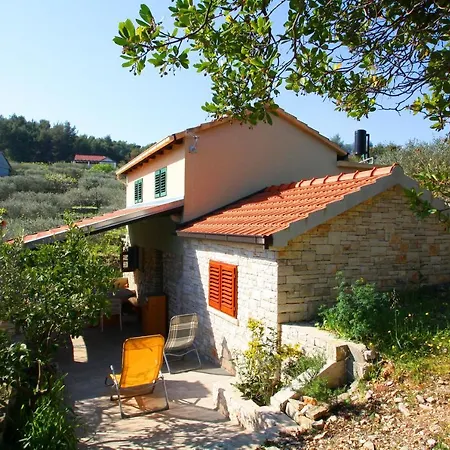 Green Dream House